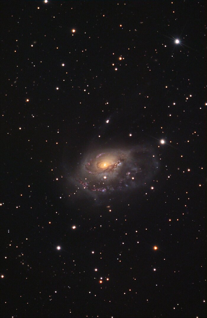 NGC 1961