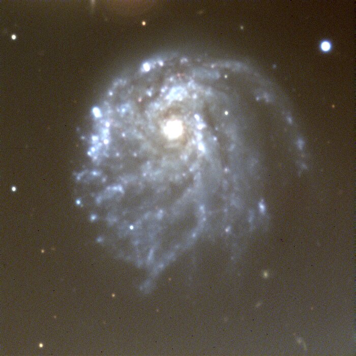 Spiral galaxy NGC 2276