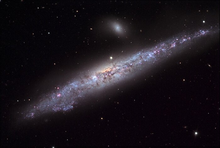 NGC 4631: The Whale