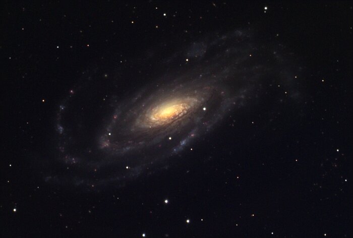 NGC 5033