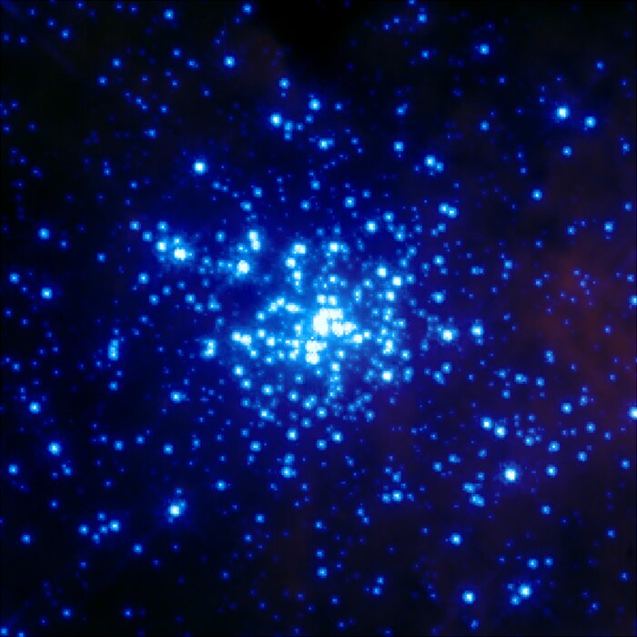Massive Star in R136 Revealed by HST Spectroscopy