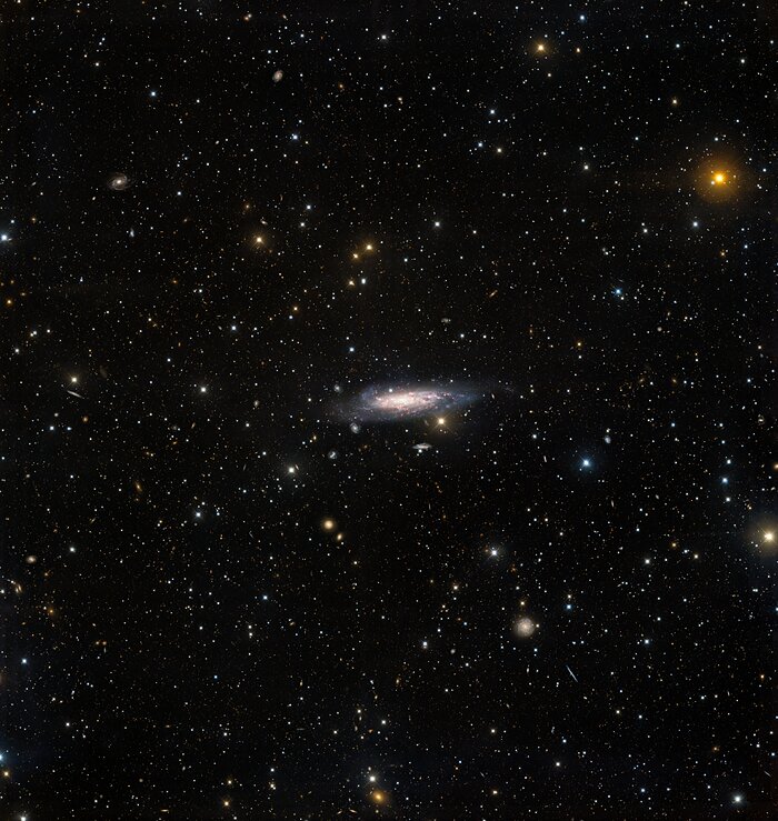 NGC 1003 (wide crop)