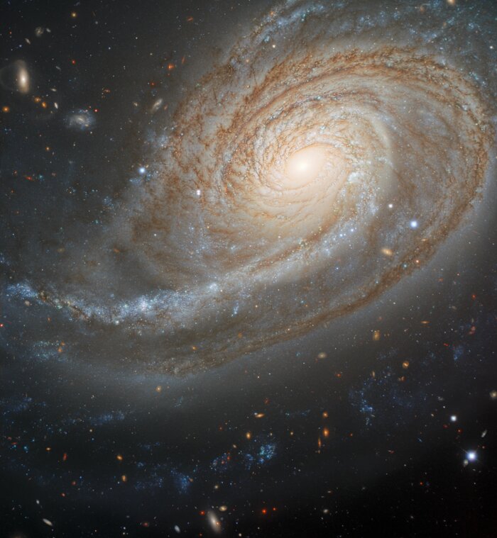 Galaxy NGC 772