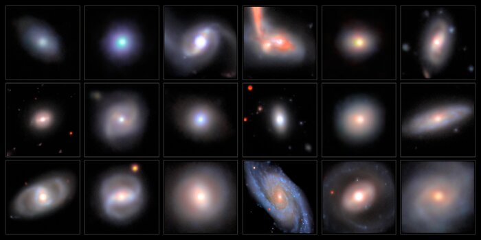 Intermediate Black Hole Candidates