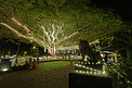 Christmas in the Park at Liliʻuokalani Gardens