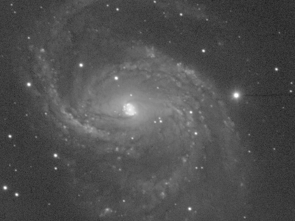 Spiral galaxy NGC 6951