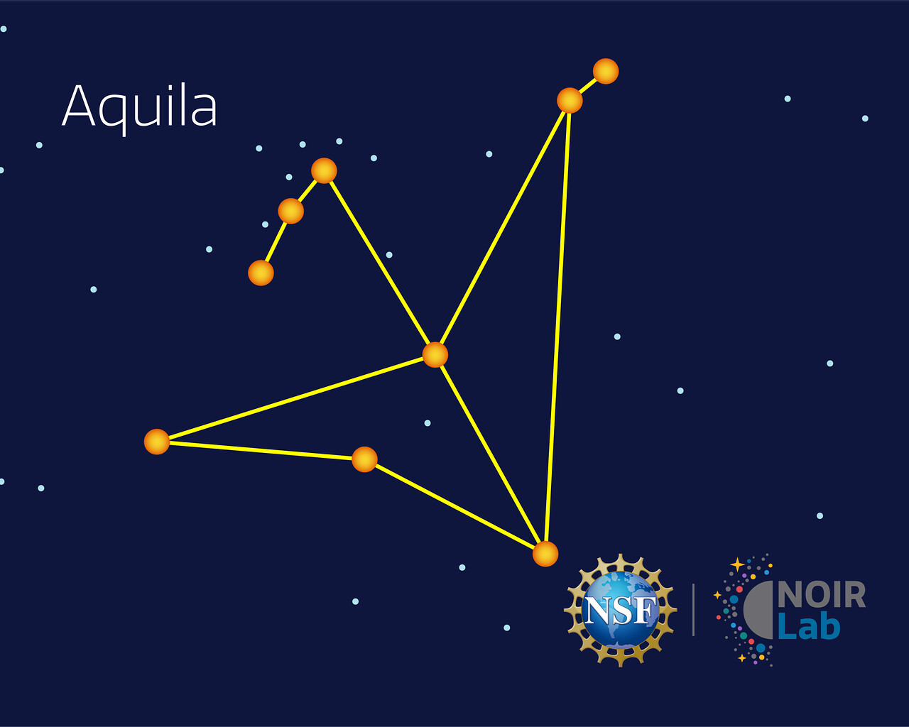 Aquila