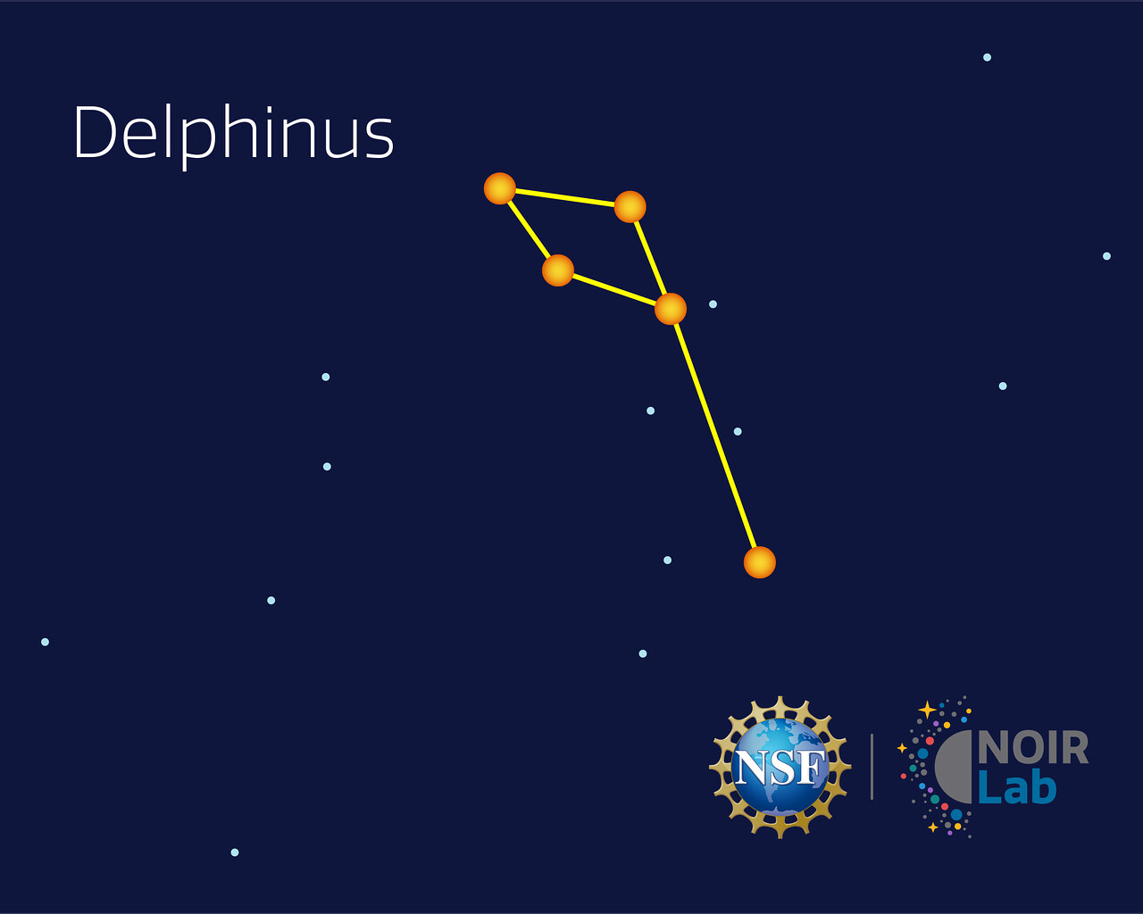 Delphinus