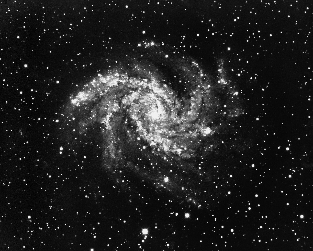 NGC 6946 in Cygnus