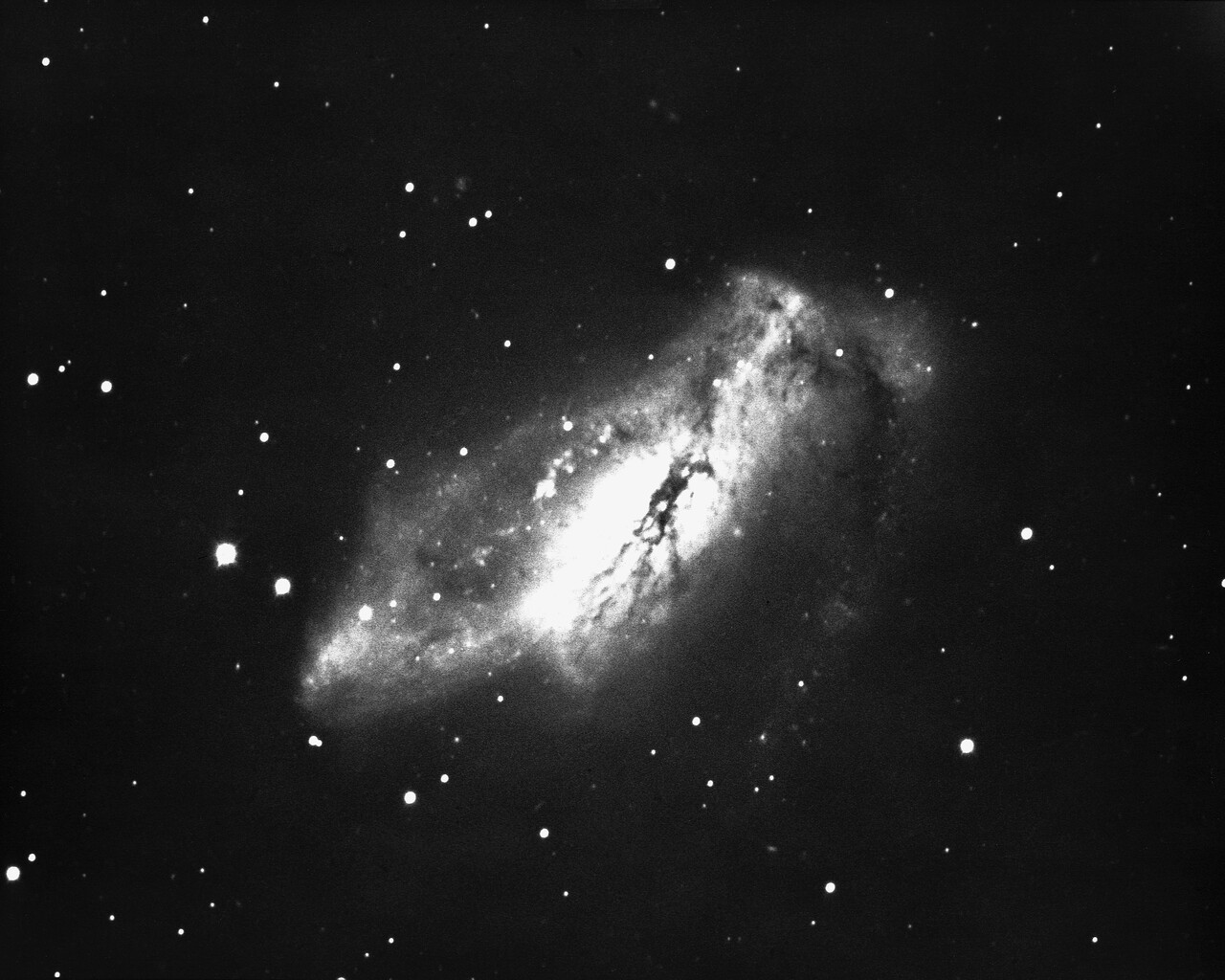 NGC 2146 in Camelopardalis