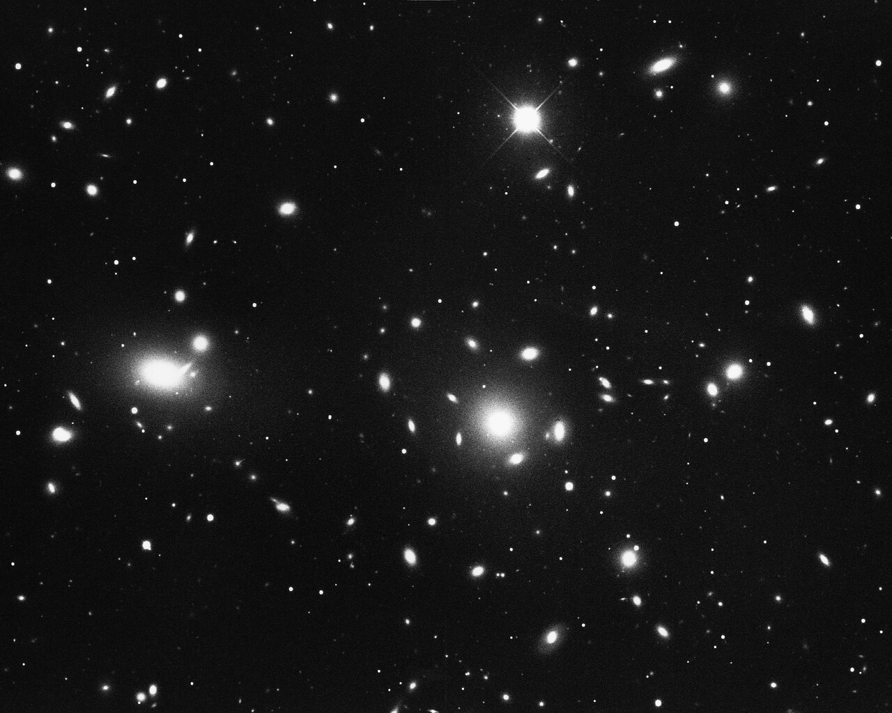 Cluster of galaxies in Coma Berenices