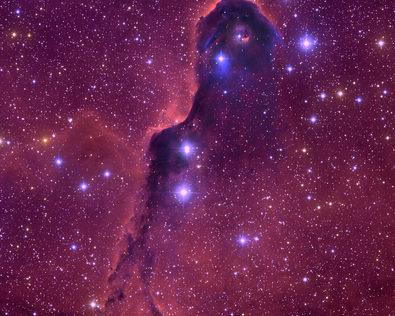 IC1396, The Elephant Trunk Nebula