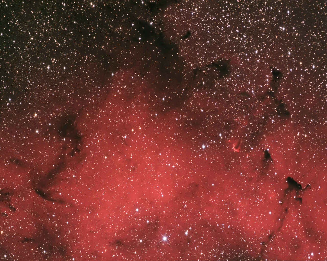 IC 1396 Portion