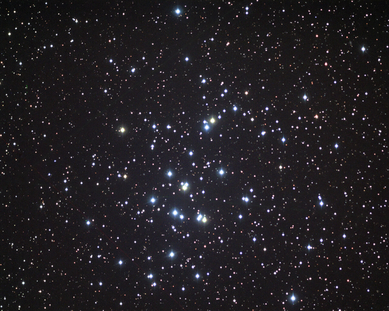 M44: The Beehive Cluster