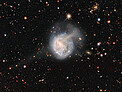 The Tidal Tales of NGC 922