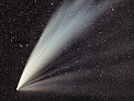 Comet C/2024 G3 (ATLAS) in the Chilean Skies