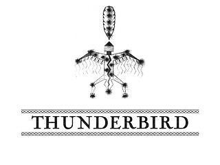 Logo: One Sky White Thunderbird