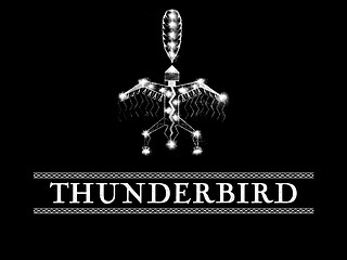 Logo: One Sky Black Thunderbird