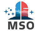 Logo: MSO Acronym Color