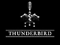 Logo: One Sky Black Thunderbird