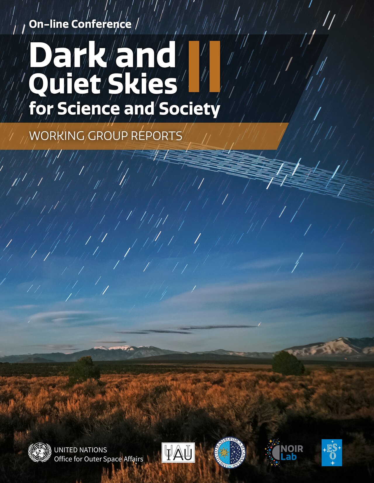 Dark and Quiet Skies II Working Group Reports
