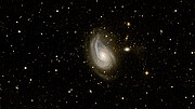 Zoom into the galaxy NGC 772