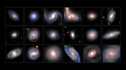 Pan across IMBH candidates