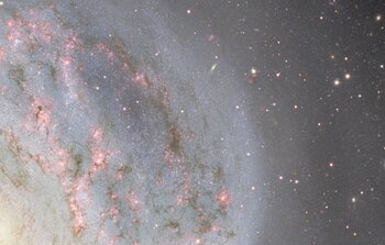 Panoramica a la Galaxia del Molinillo Austral