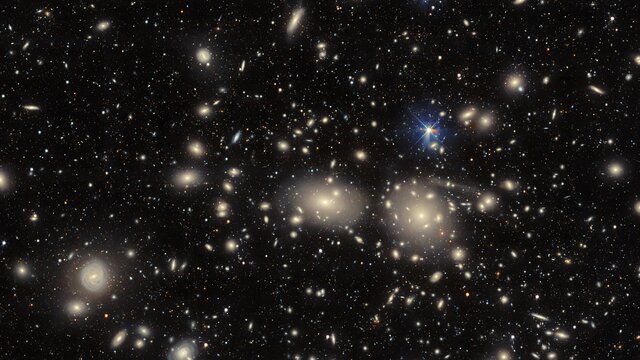 Pan on the Coma Cluster