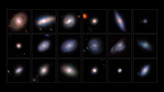 Pan across Dwarf AGN candidates